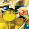 شرط ترخیص روغن‌های وارداتی از گمرک