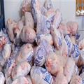 شرکت پشتیبانی امور دام روزانه 500 تن مرغ مازاد مرغداران را خریداری می کند