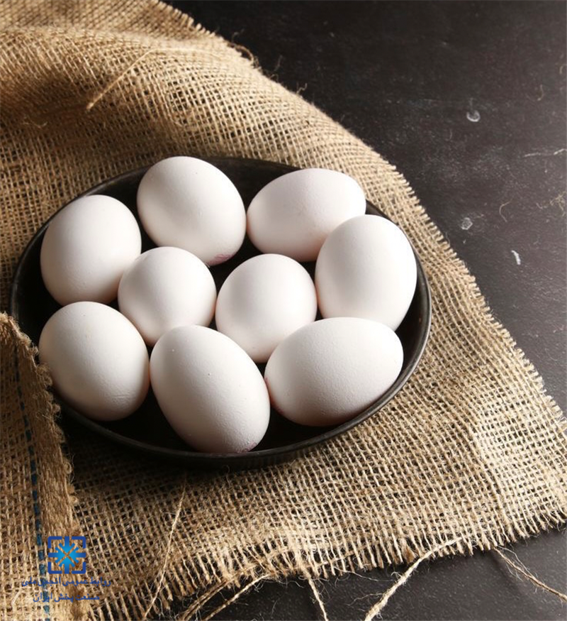 تولید-تخم-مرغ-به-105-هزار-تن-می‌رسد
